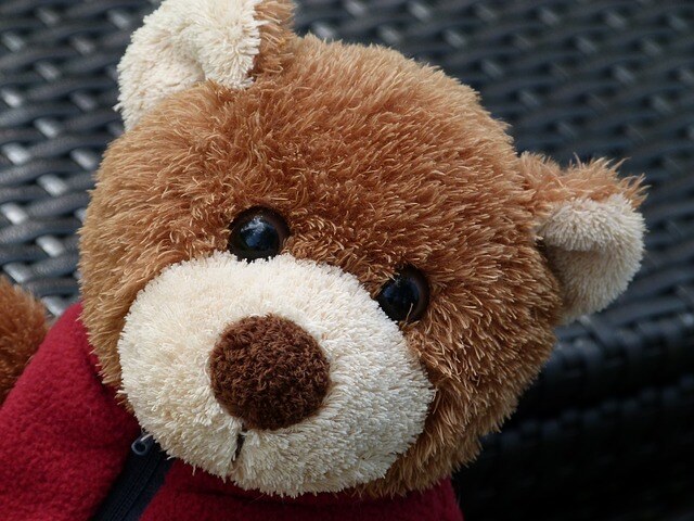 teddy 181572 640