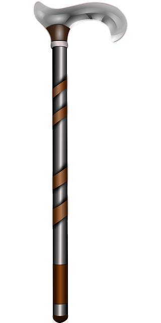 walking-stick-159542_640.png