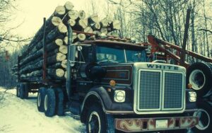 800px A truck carries many aspen cut trees 800x500