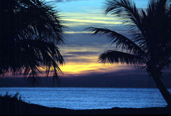 Morning Dawns at Smathers Beach  Key West Florida 8079715772