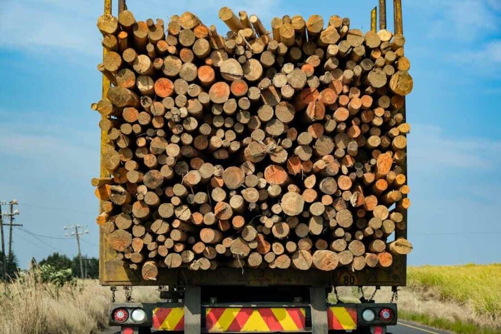 pexels photo 9348900