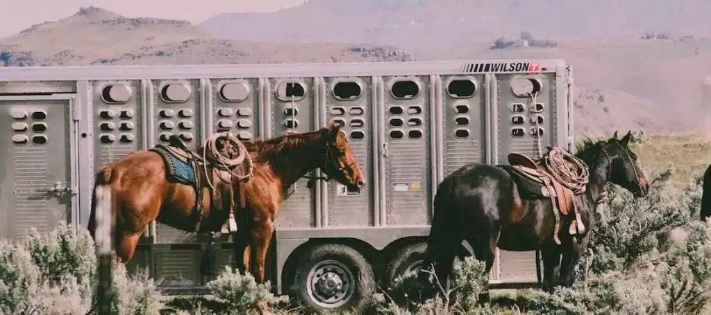 pexels-photo-1069722