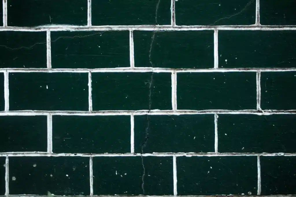 Common Types of Mold in Apartments