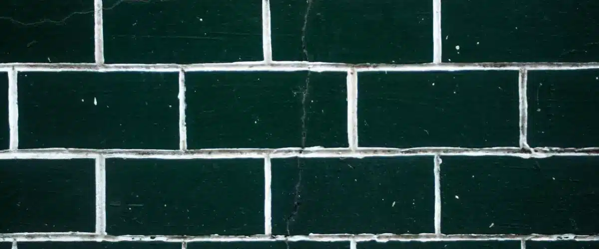 Common Types of Mold in Apartments