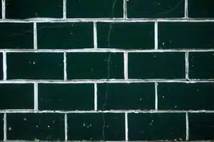 Common Types of Mold in Apartments