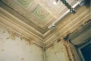 How to Prove Mold Exposure