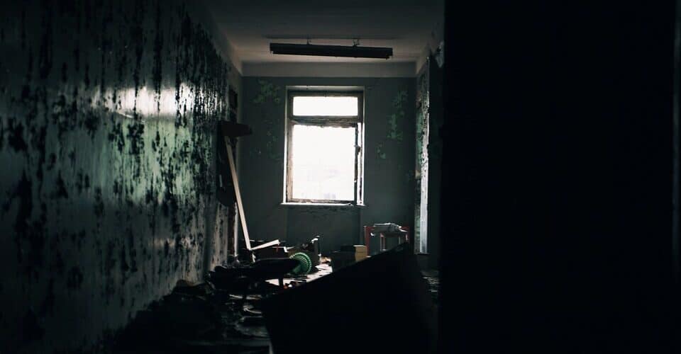 What to Do When Your Landlord Won’t Fix Mold