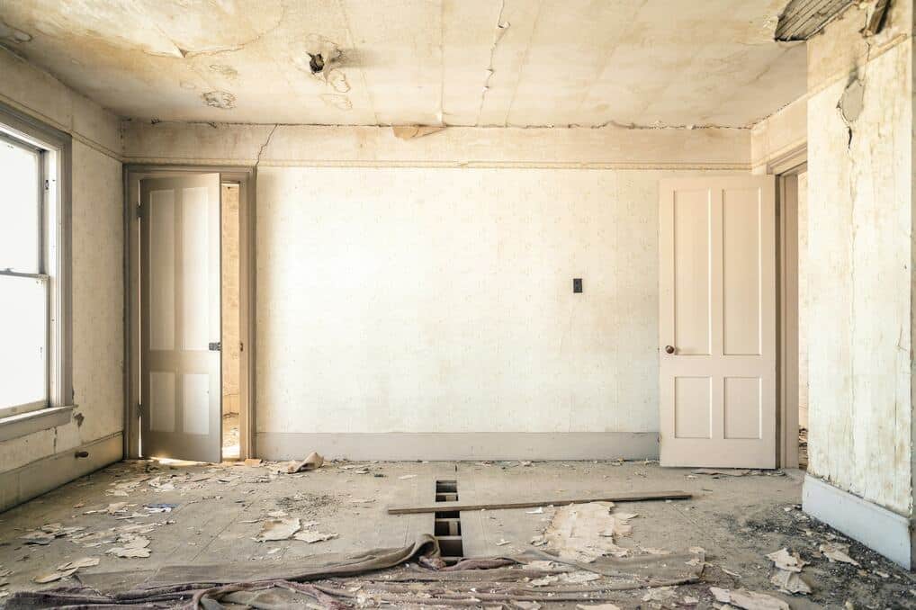 Toxic Mold Lawyers