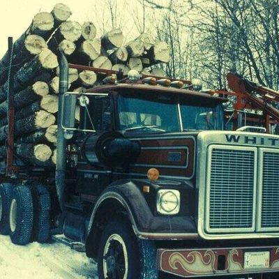 800px A truck carries many aspen cut trees 800x500 1