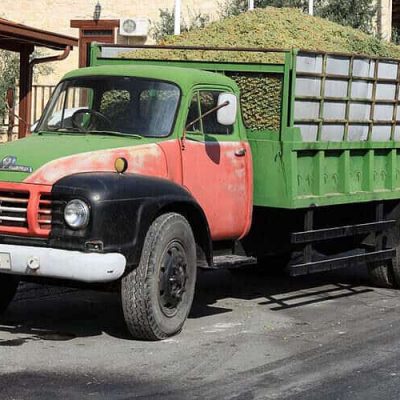 800px Grape truck in cyprus 800x500