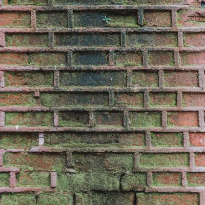 Can You Sue Your Landlord for Mold