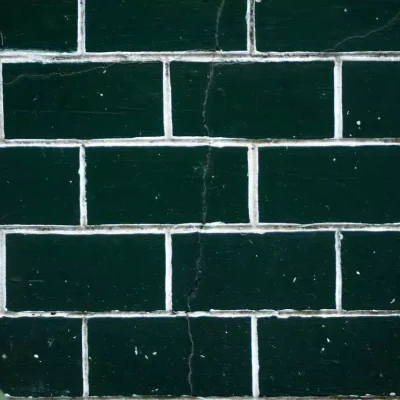 Common Types of Mold in Apartments