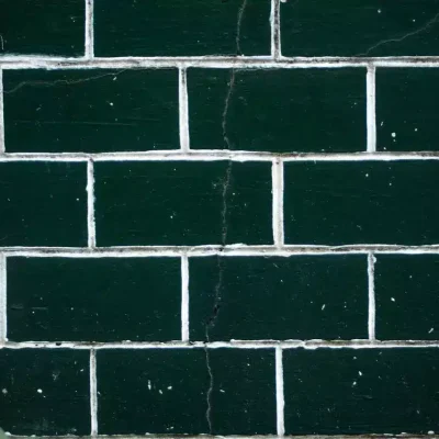 Common Types of Mold in Apartments