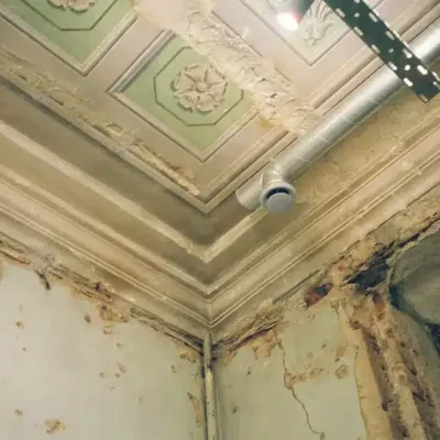 How to Prove Mold Exposure