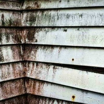 What to Do If You Have Mold in Your Apartment 960x500
